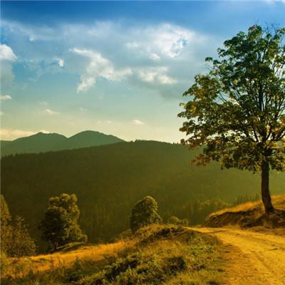 365足球外围平台